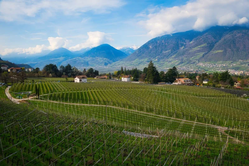 L'acqua che non vedi ma che senti nel bicchiere: il segreto minerale del Collio