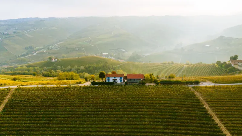Connessione a cinque tacche e galline nel cortile: il Collio che conquista i lavoratori digitali