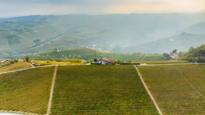 Pietra, legno e vigna: come il Collio sta ridisegnando i suoi agriturismi senza tradire le radici
