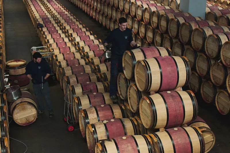 Vino in corsia preferenziale: i micro-cru del Collio che osano reinventare il tempo