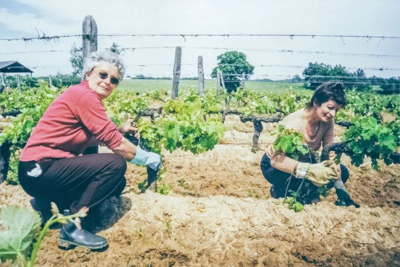 Radici nuove tra i filari: storie di chi ha lasciato tutto per ricominciare nel Collio