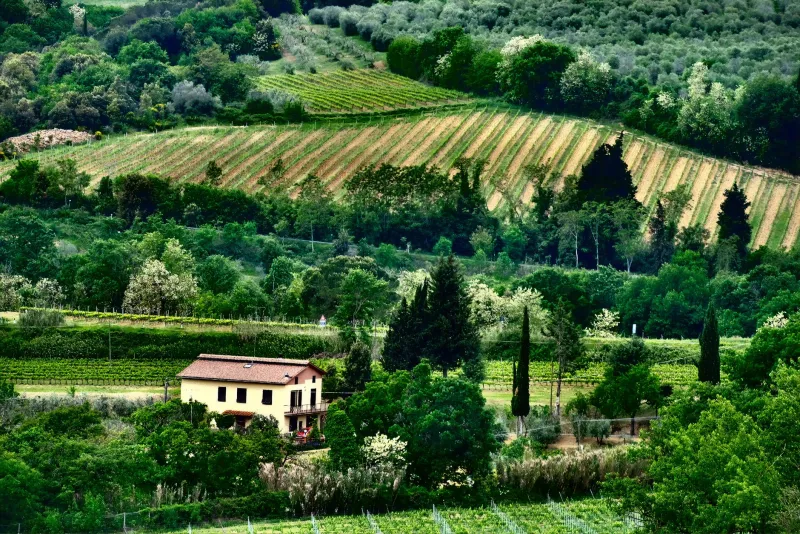 Sorgenti, fango e silenzio: il wellness nascosto del Collio che vale quanto un buon bicchiere